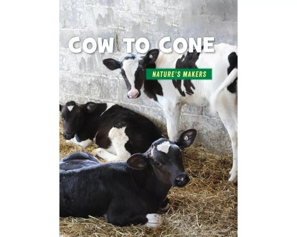 Cow to Cone