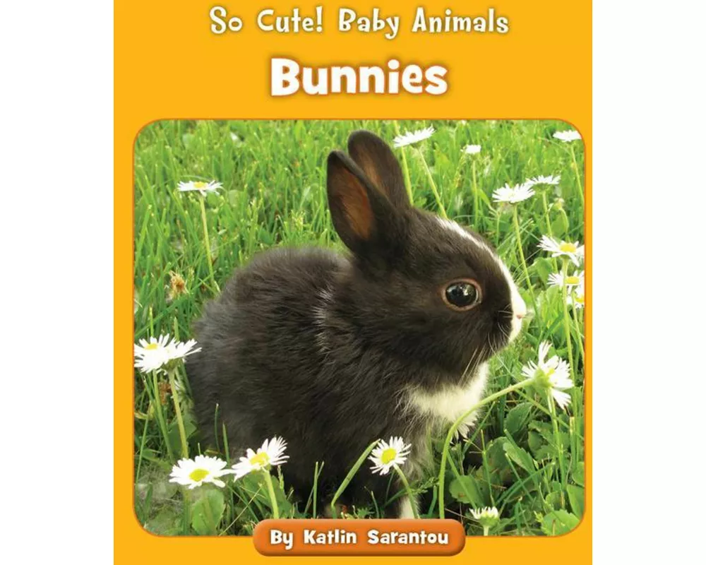 Bunnies