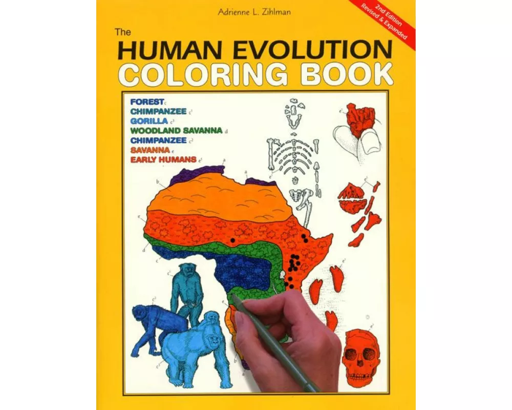 The Human Evolution Coloring Book