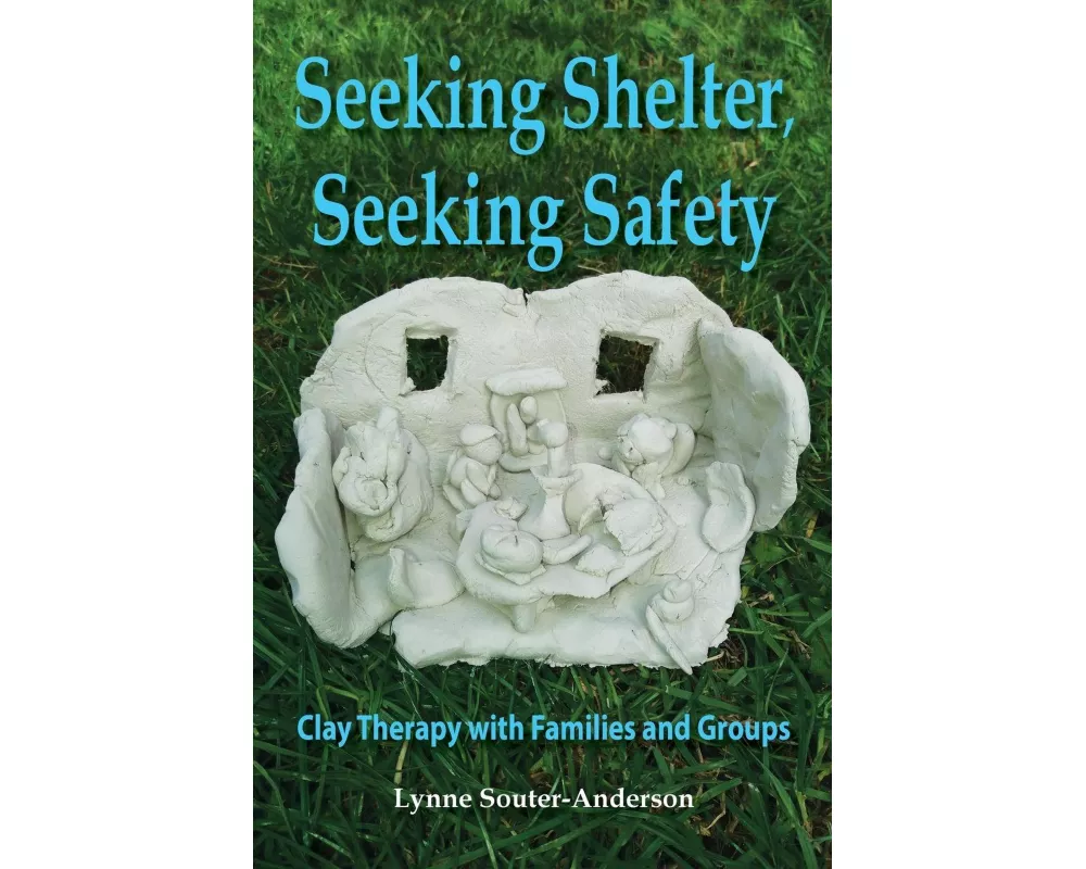 Seeking Shelter, Seeking Safety