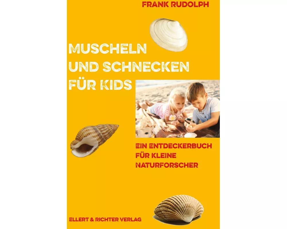 Muscheln und Schnecken für Kids