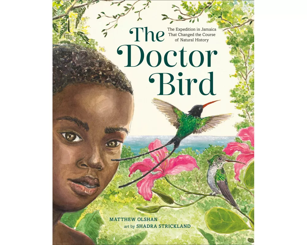 The Doctor Bird