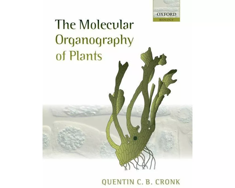 The Molecular Organography of Plants