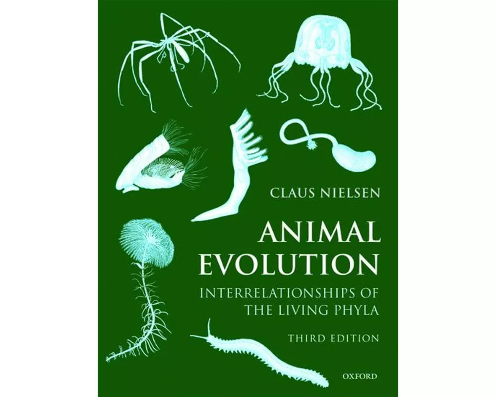 Animal Evolution