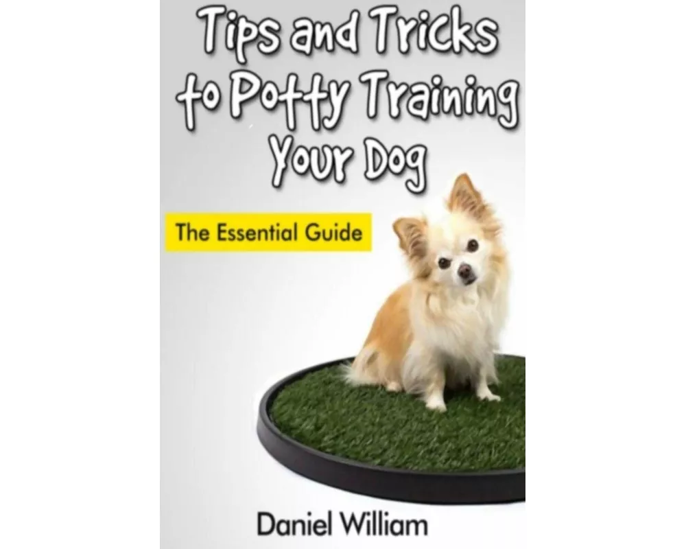 Tips and Tricks to Potty Training Your Dog