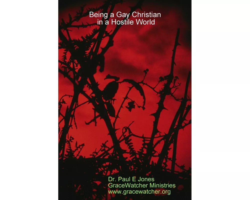 Being a Gay Christian in a Hostile World