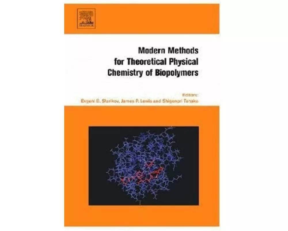 Modern Methods for Theoretical Physical Chemistry of Biopolymers