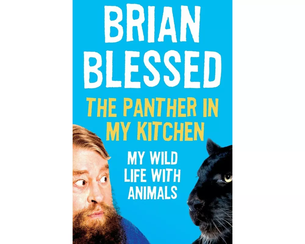The Panther In My Kitchen