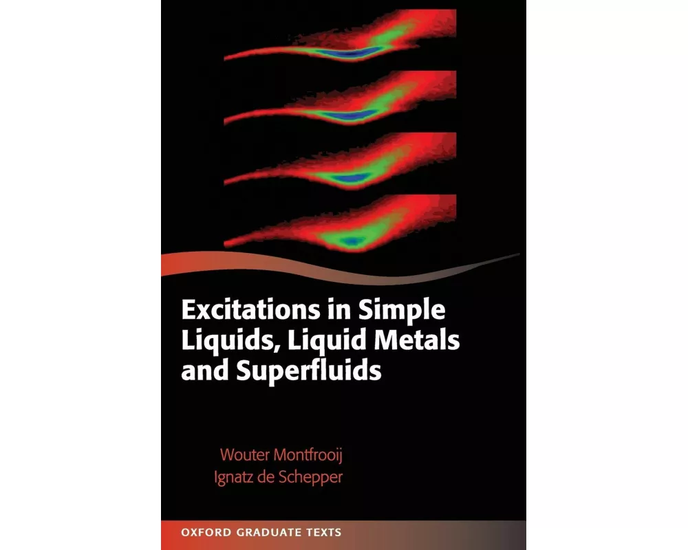Excitations in Simple Liquids, Liquid Metals and Superfluids