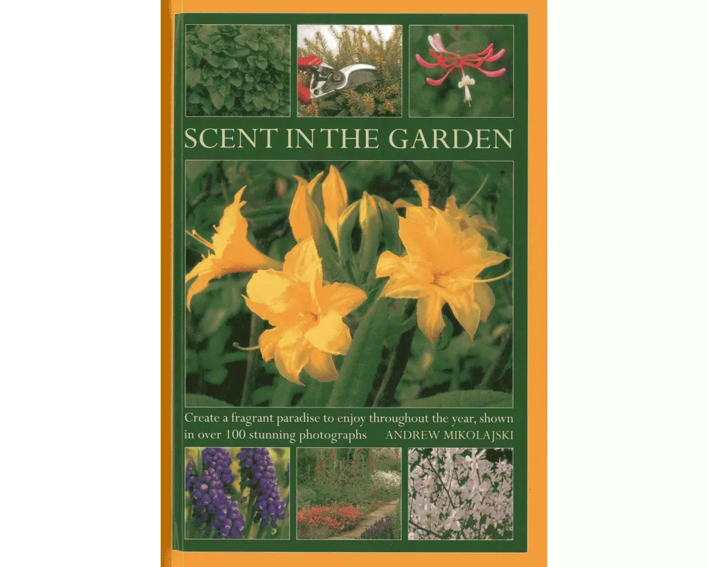 Scent in the Garden