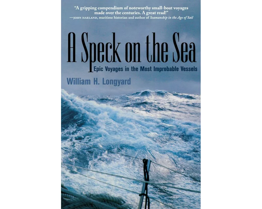 A Speck On The Sea
