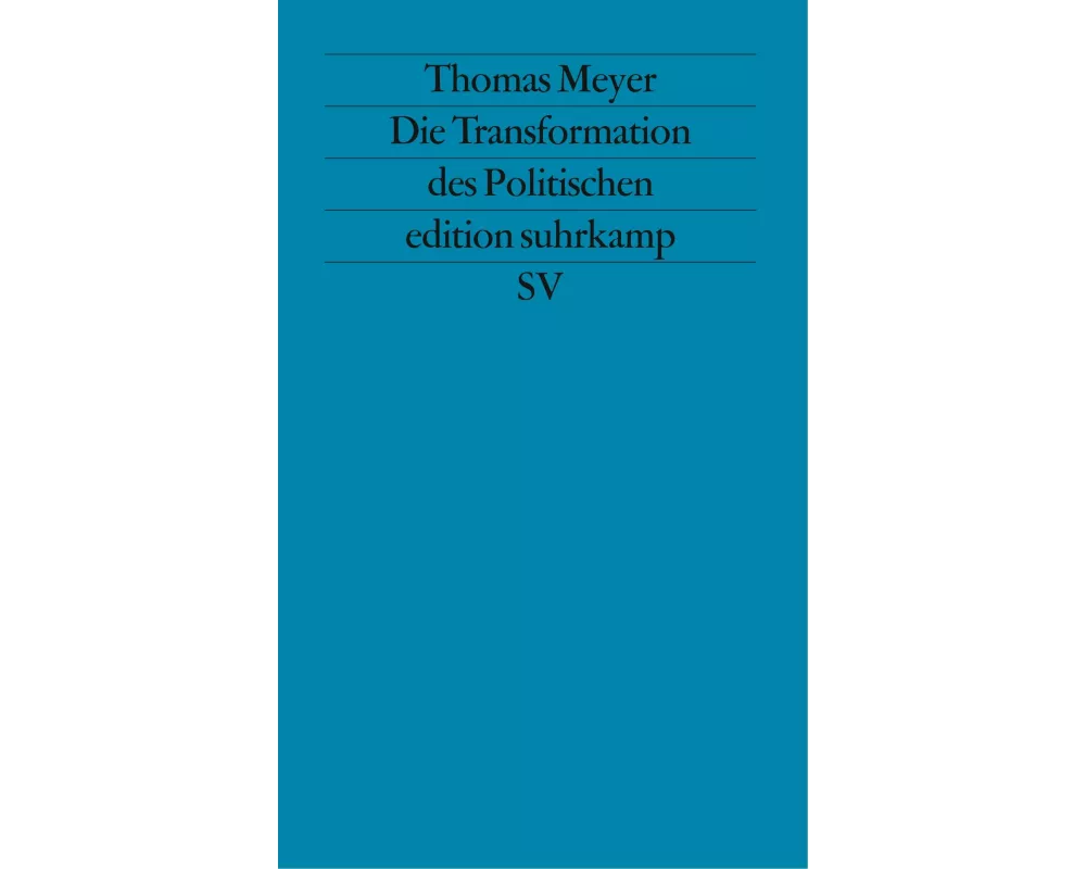 Die Transformation des Politischen