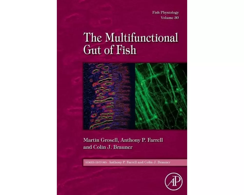 Fish Physiology: The Multifunctional Gut of Fish: Volume 30