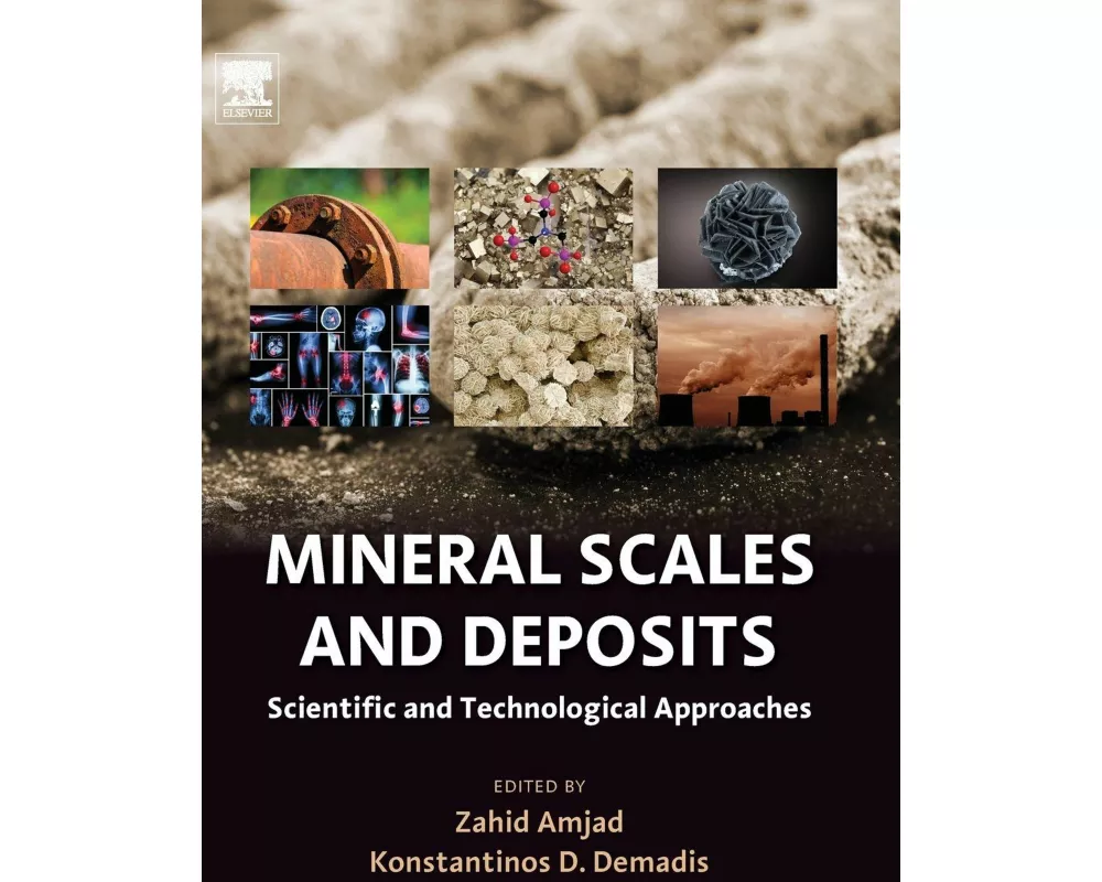 Mineral Scales and Deposits