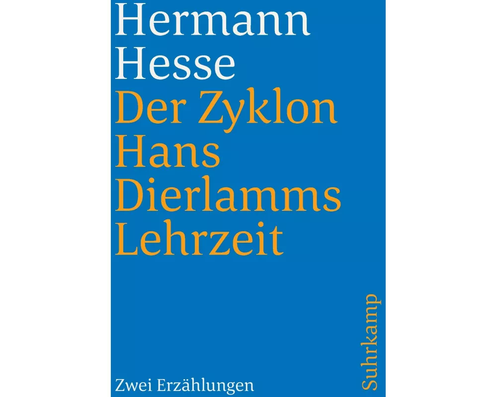 Der Zyklon und Hans Dierlamms Lehrzeit