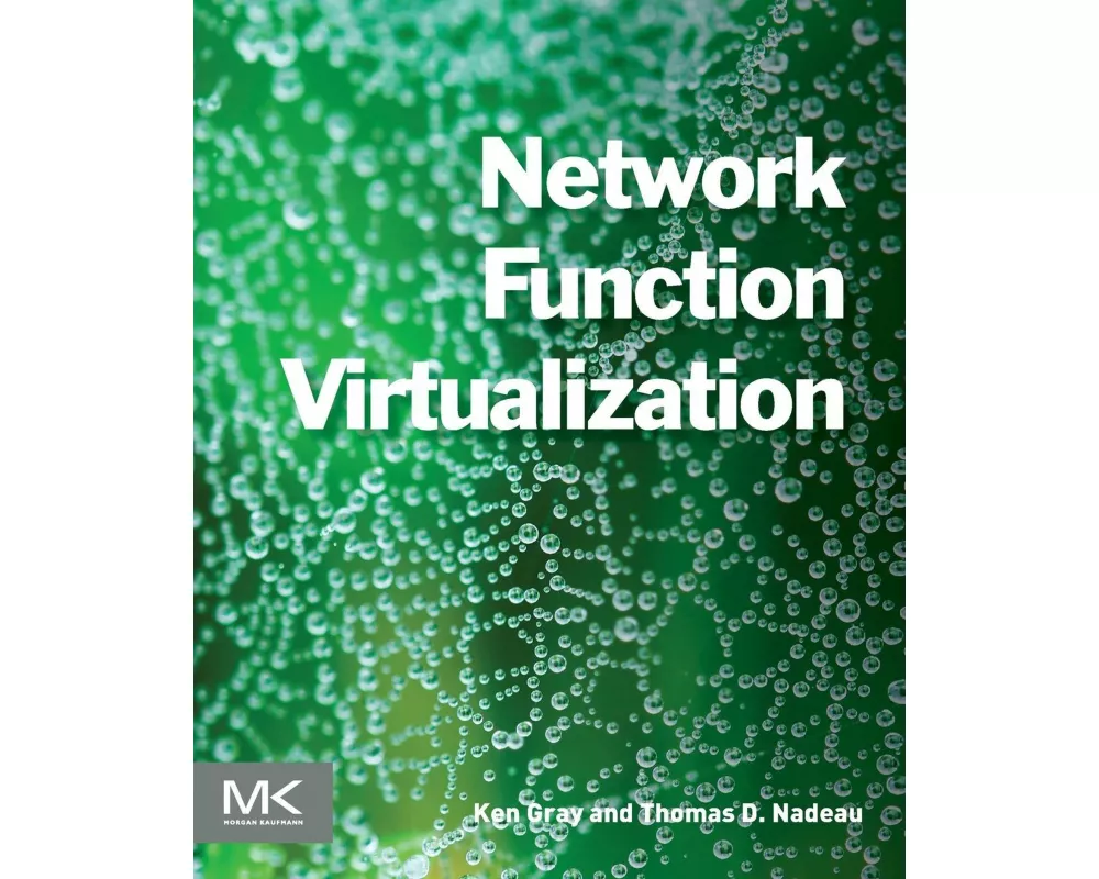 Network Function Virtualization