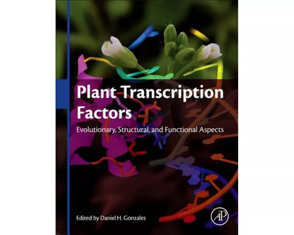 Plant Transcription Factors