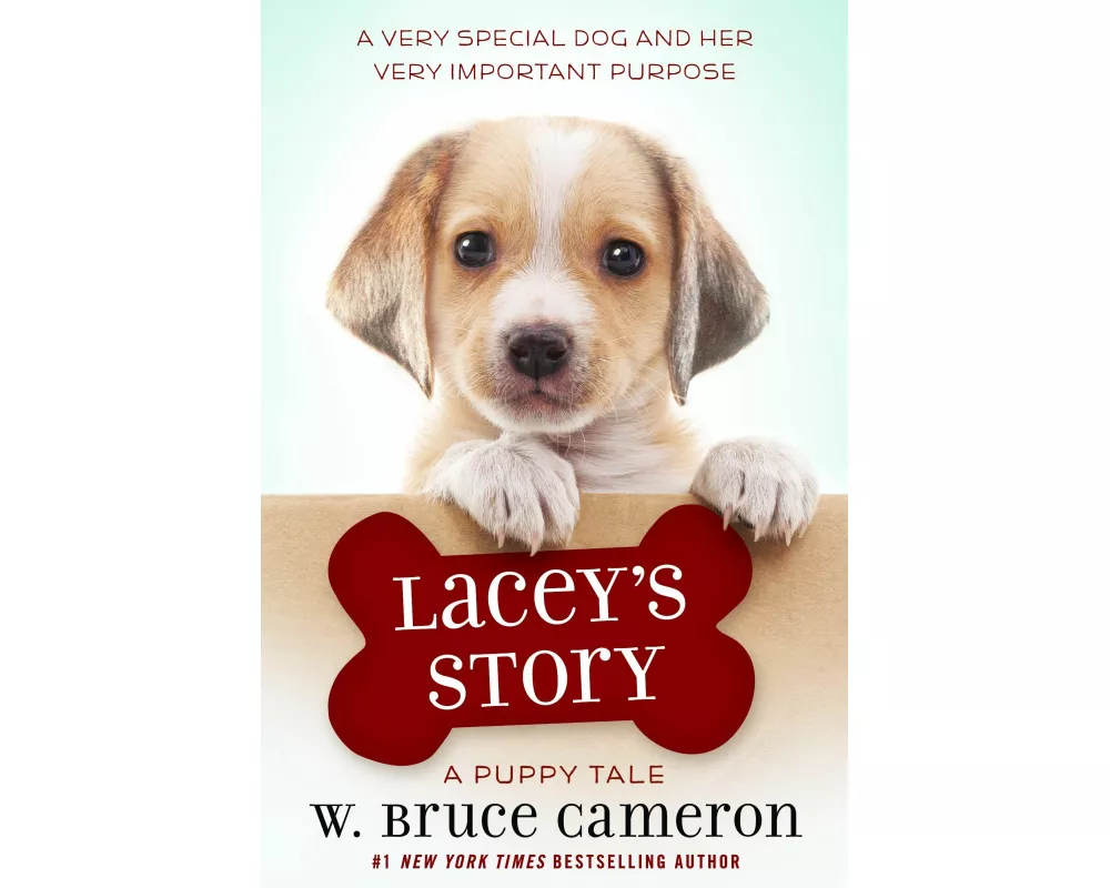 A Lacey's Story