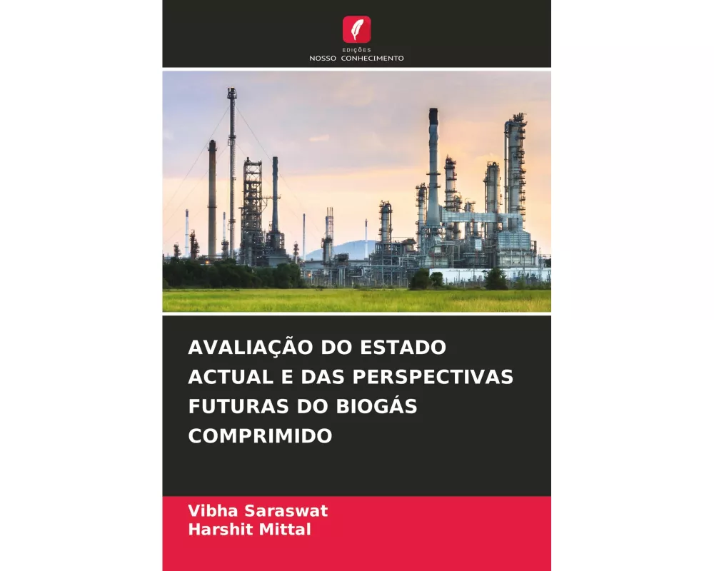 AvaliaÇÃo Do Estado Actual E Das Perspectivas Futuras Do BiogÁs Comprimido