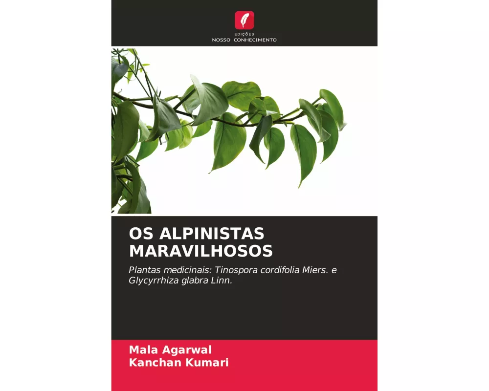 Os Alpinistas Maravilhosos