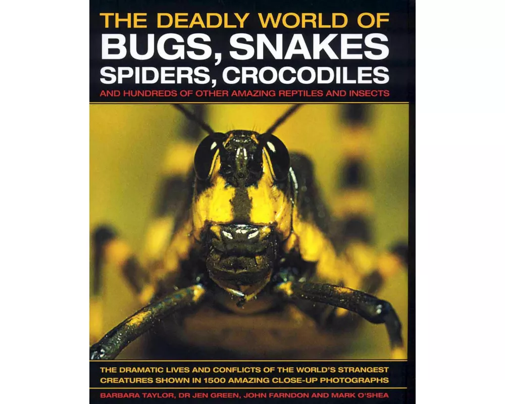 The Deadly World of Bugs, Snakes, Spiders, Crocodiles and Hundreds of Other Amazing Reptiles and Insects