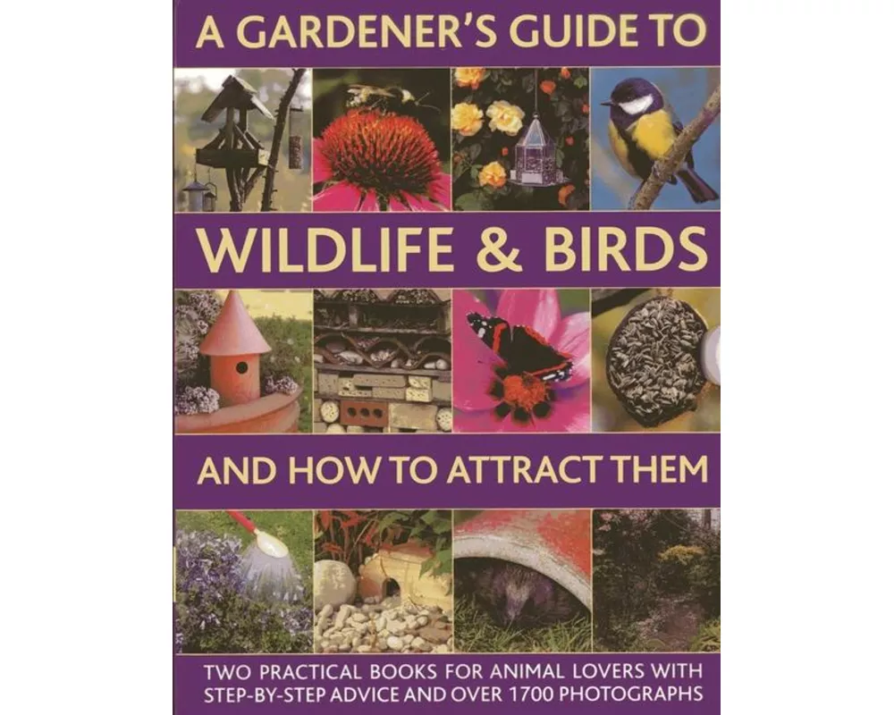 A Gardener's Guide to Wildlife & Birds and How to Attract Them