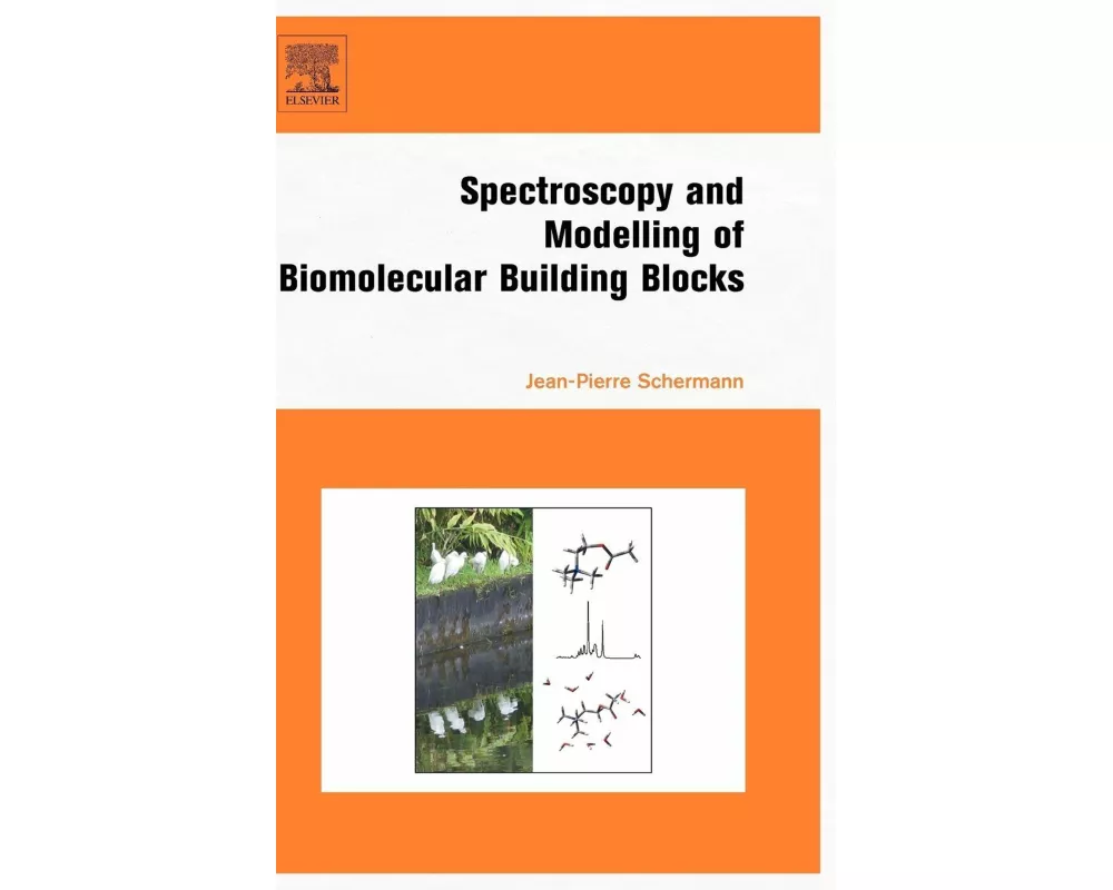 Spectroscopy and Modeling of Biomolecular Building Blocks