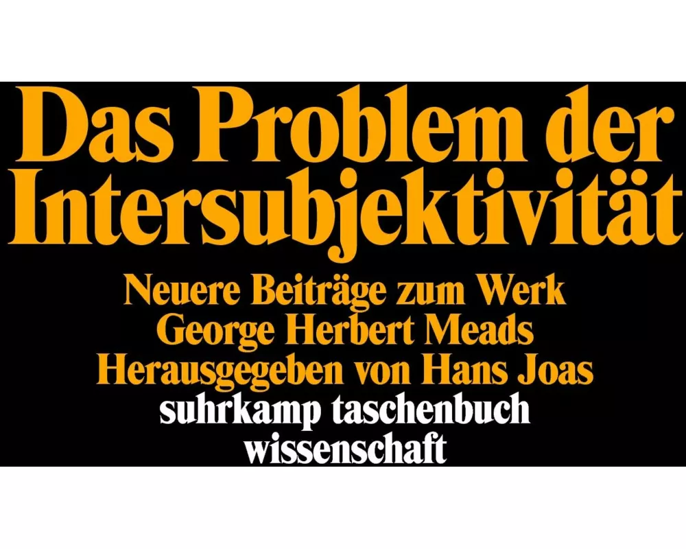 Das Problem der Intersubjektivität