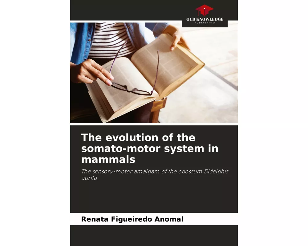 The evolution of the somato-motor system in mammals