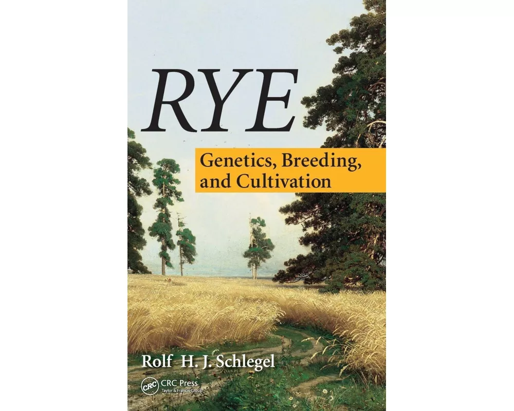 Rye