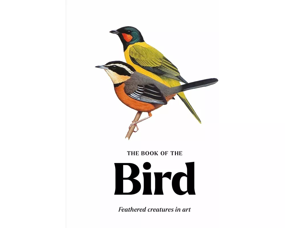 The Book of the Bird