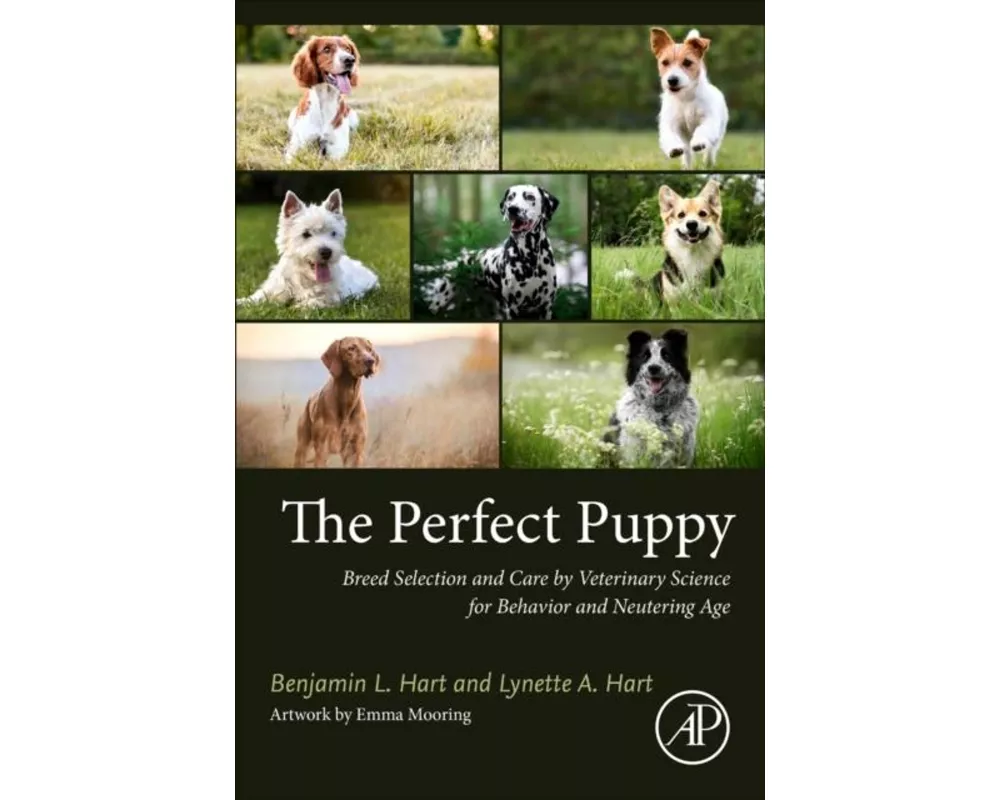 The Perfect Puppy
