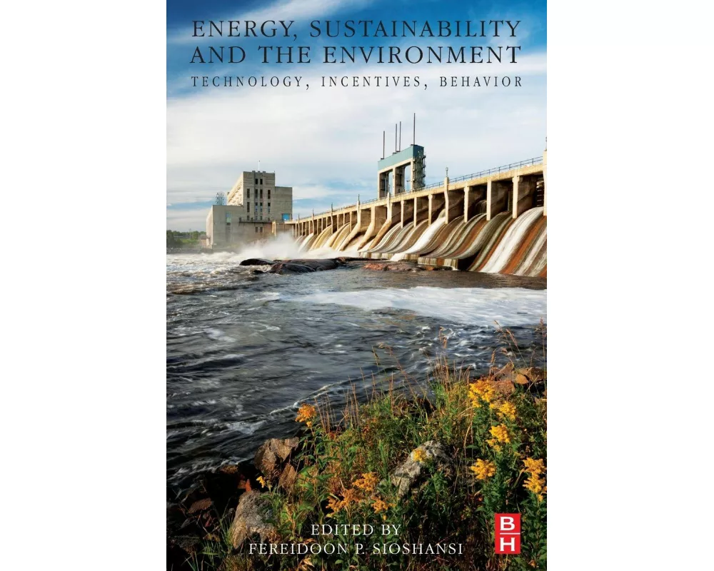 Energy, Sustainability and the Environment