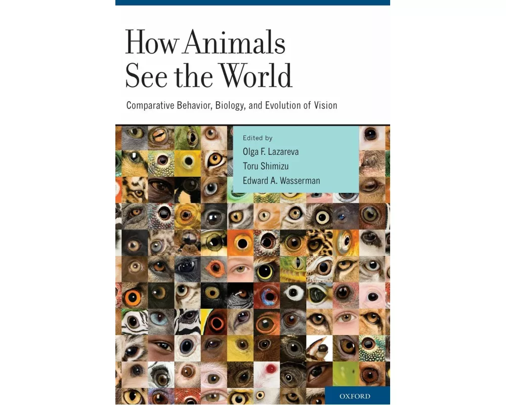 How Animals See the World