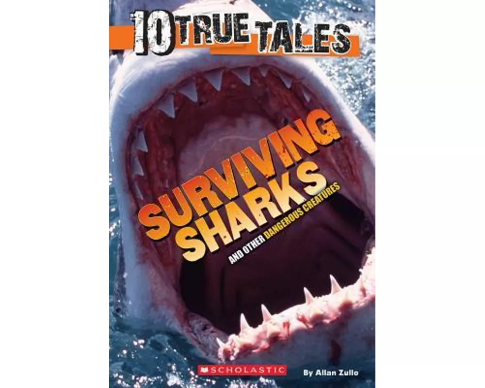 Surviving Sharks (10 True Tales)
