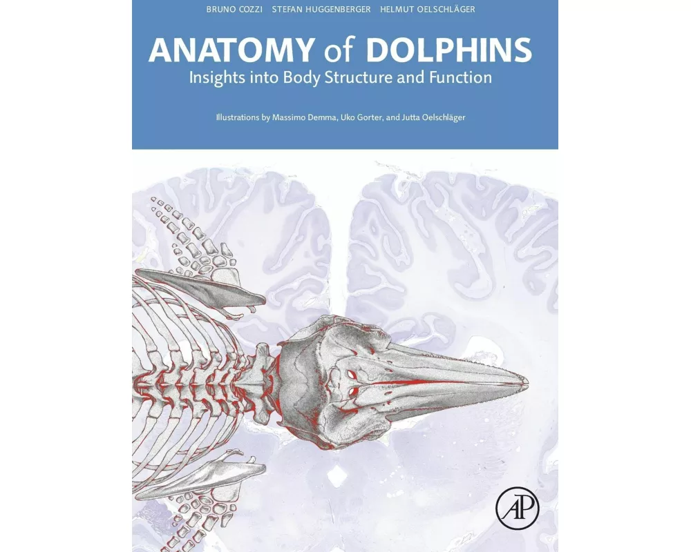 Anatomy of Dolphins