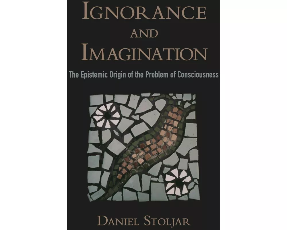 Ignorance and Imagination
