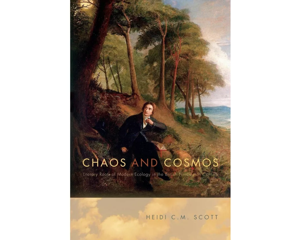 Chaos and Cosmos