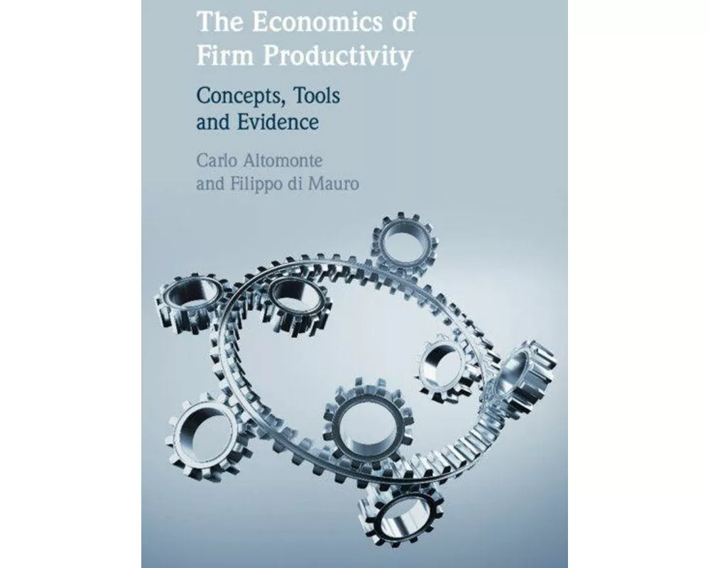 The Economics of Firm Productivity