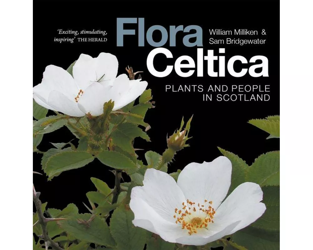 Flora Celtica