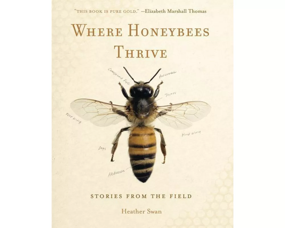 Where Honeybees Thrive