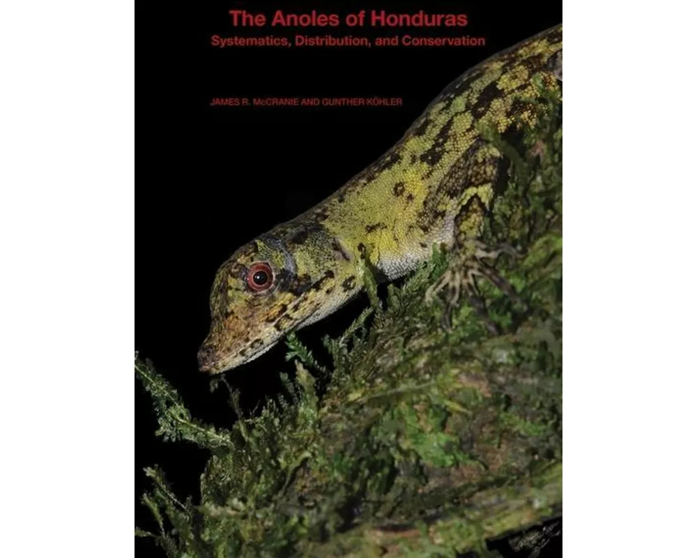 The Anoles of Honduras