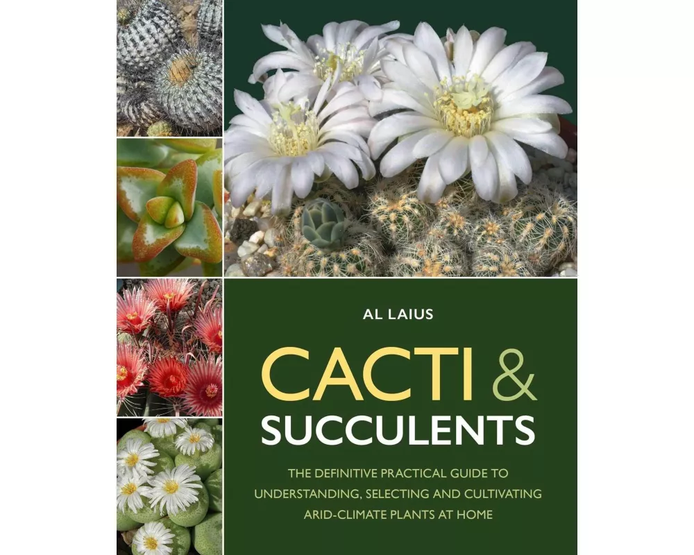 Cacti & Succulents