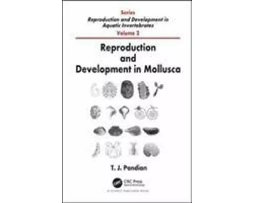 Reproduction and Development in Mollusca