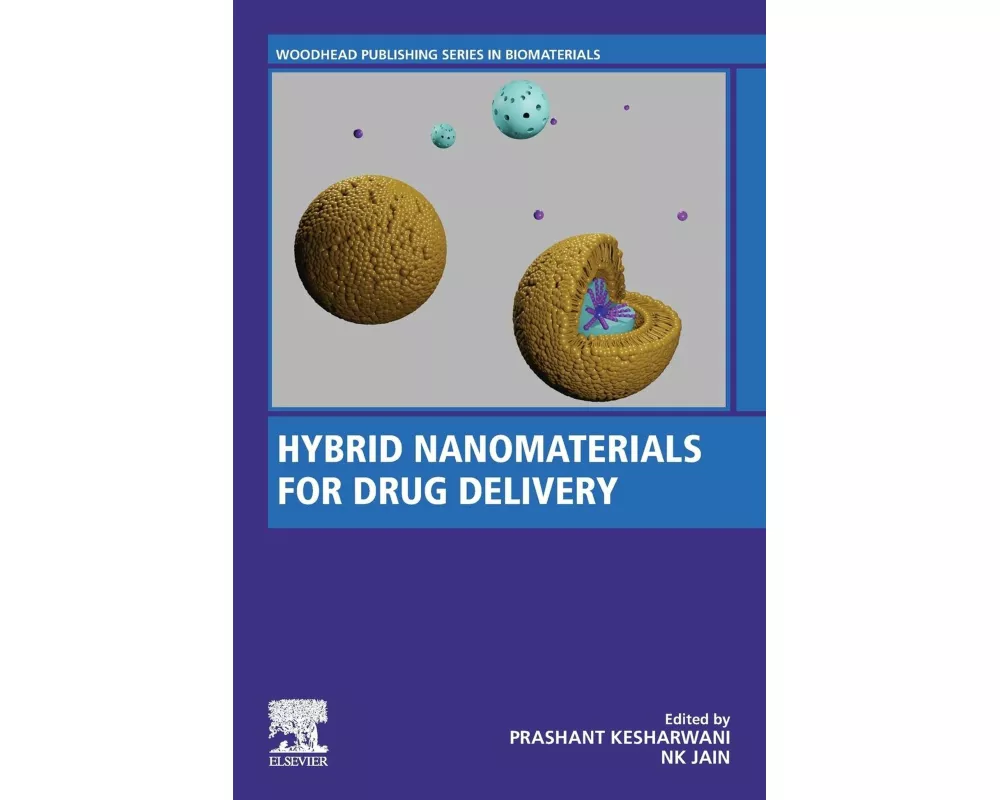 Hybrid Nanomaterials for Drug Delivery