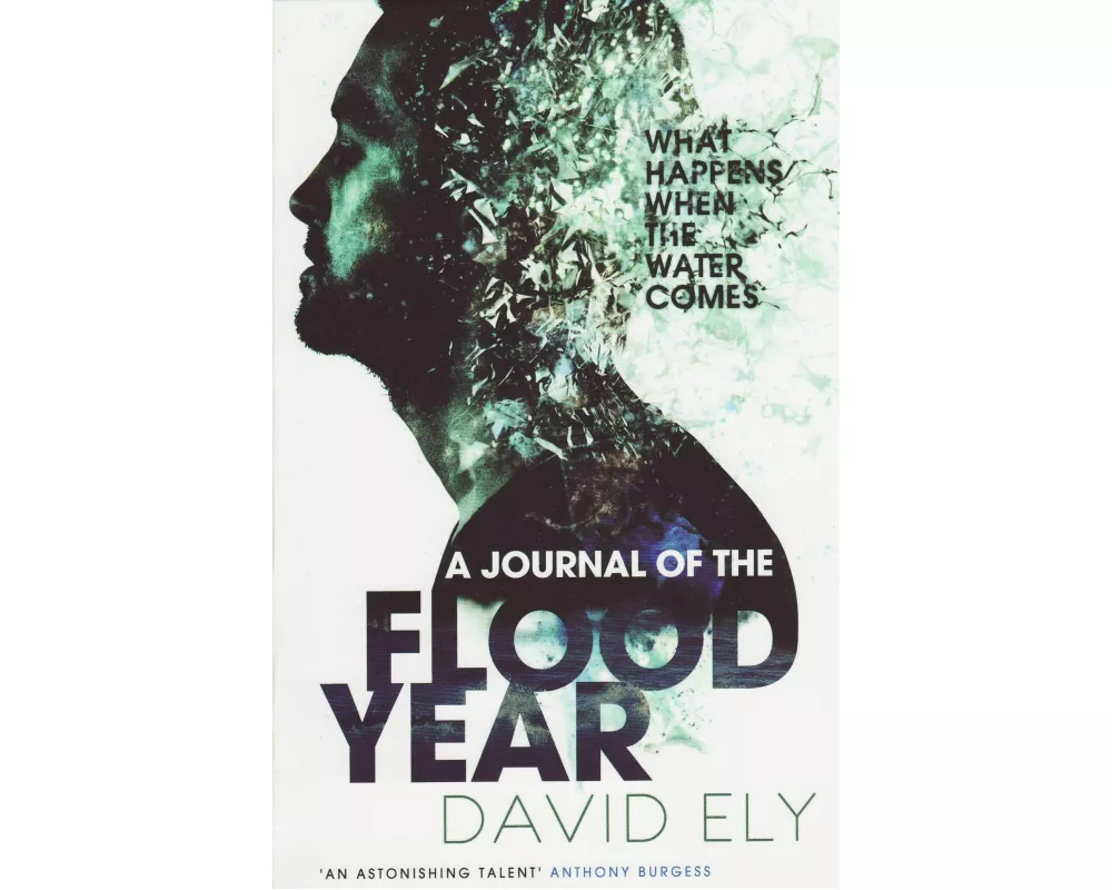 A Journal of the Flood Year