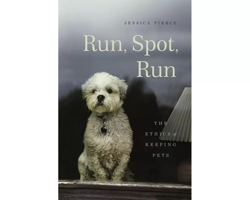Run, Spot, Run