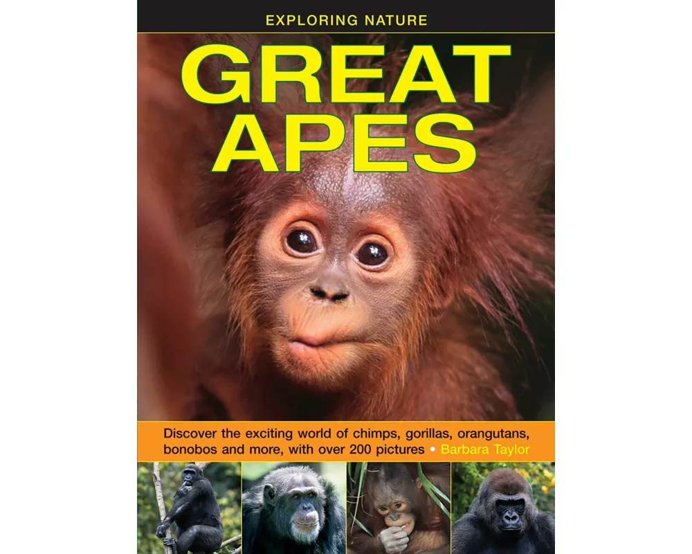 Exploring Nature: Great Apes