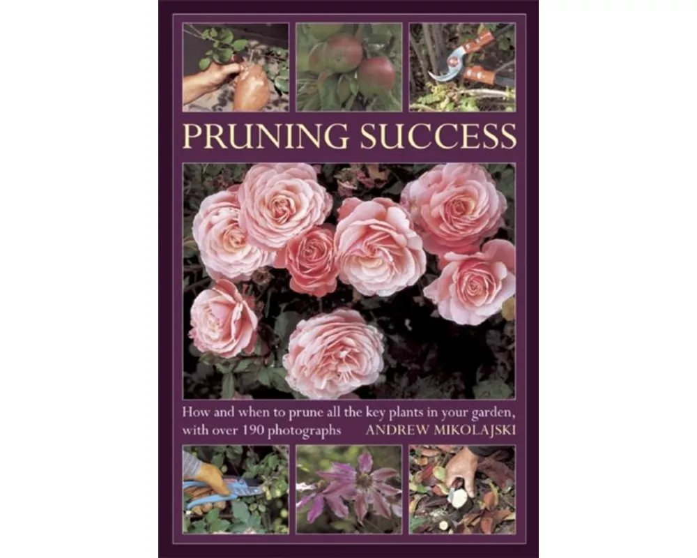 Pruning Success