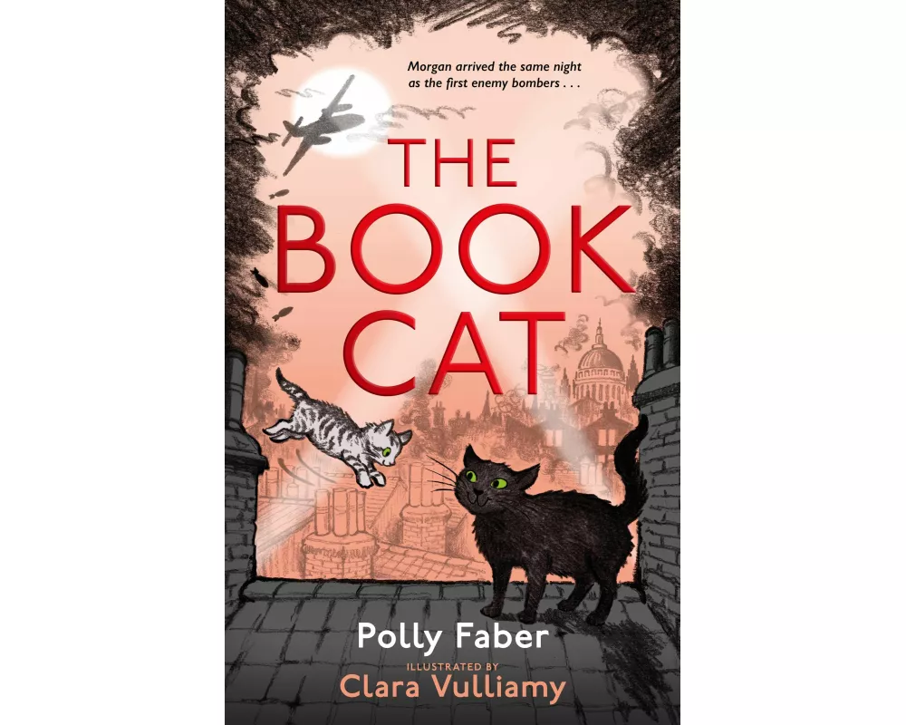 The Book Cat